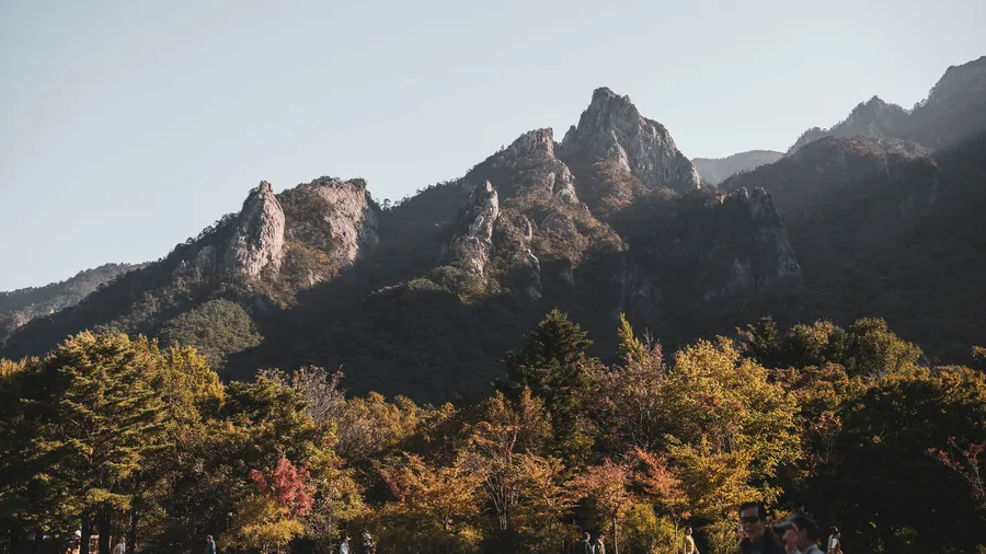 Korea Autumn Foliage 2026: Seoraksan to Naejangsan Timeline
