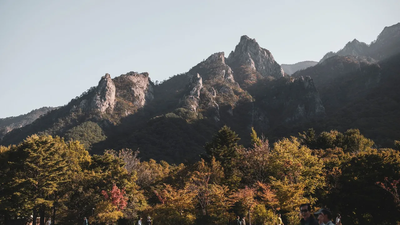 Korea Autumn Foliage 2026: Seoraksan to Naejangsan Timeline